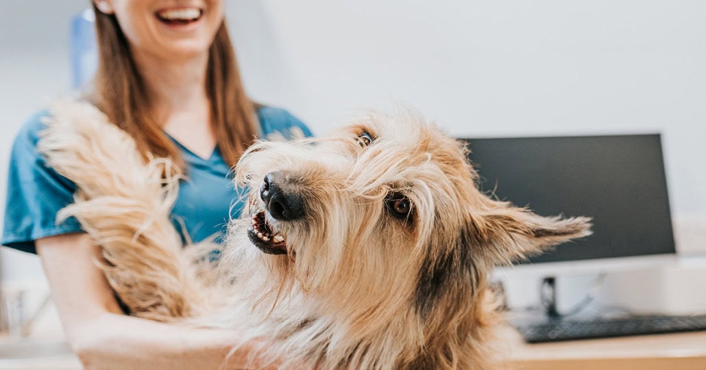A woman holding a dog in a vet office