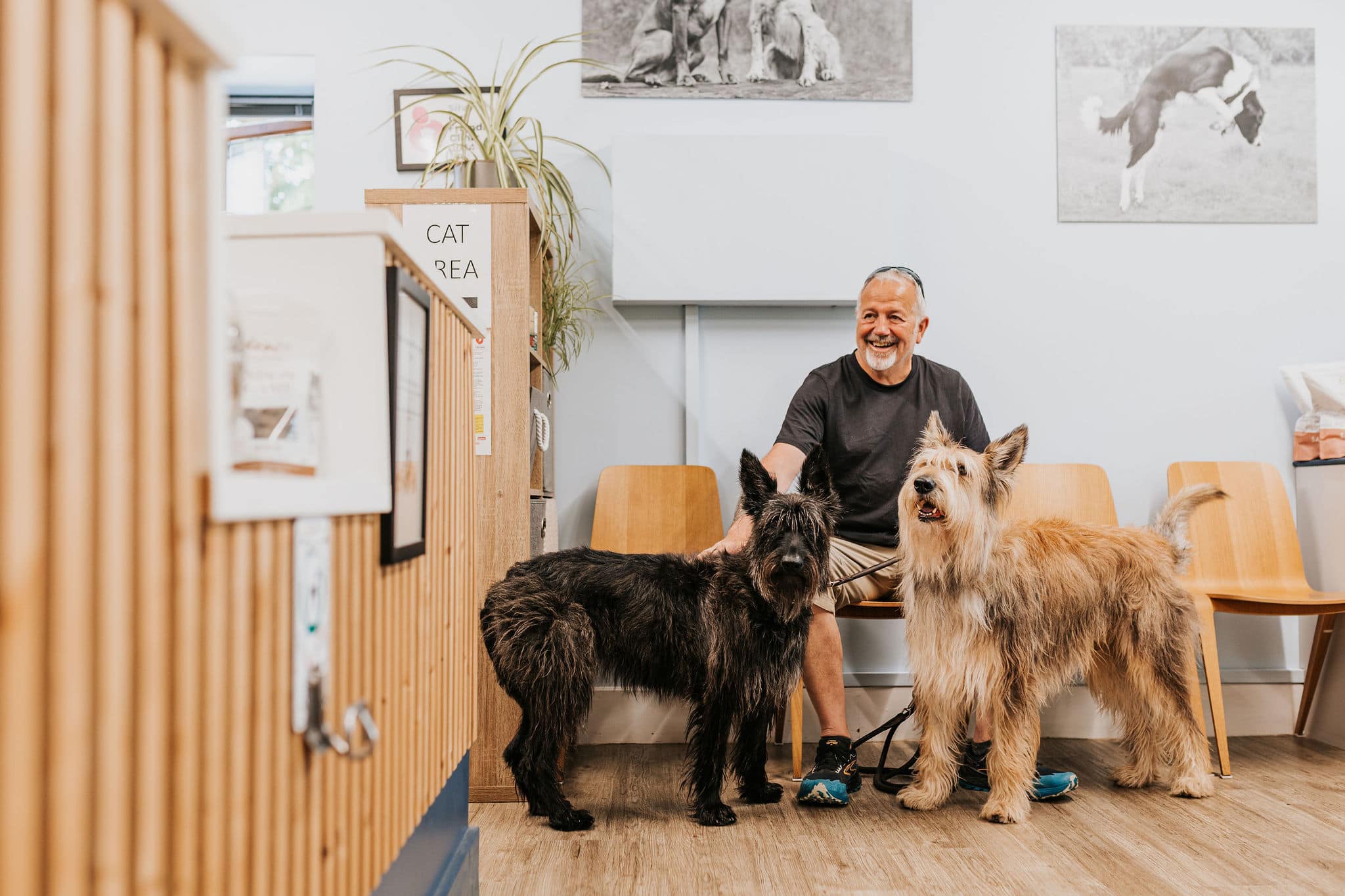 Independent vets you can trust in Chichester