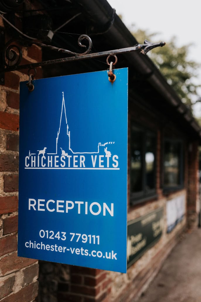 Photo of Chichester Vets signage